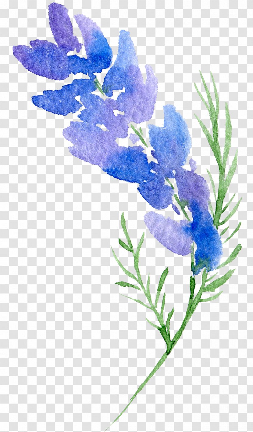 Floral Design Flower Watercolor Painting - Lavender - Transparent Background Botanical Flowers Transparent PNG