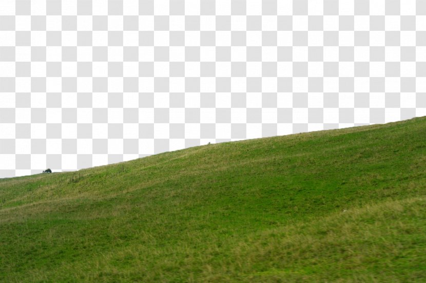 Grass On The Slope - Lawn - Green Transparent PNG