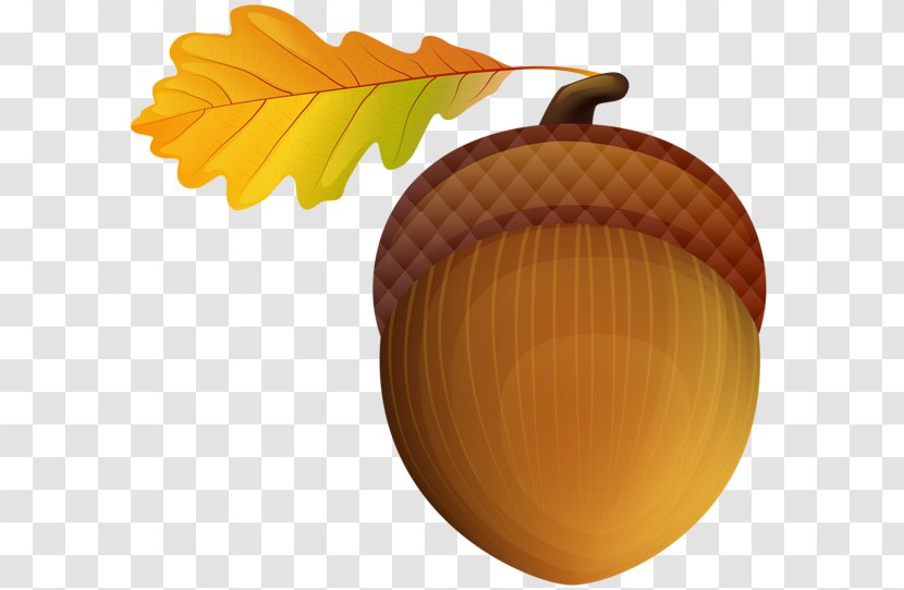 Clip Art Image Openclipart Free Content - Fruit - Autumn Acorn Transparent PNG