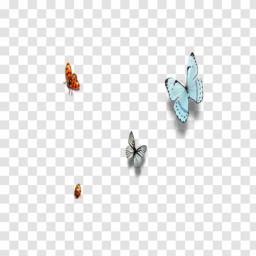 Butterfly Insect Ladybird Euclidean Vector - Butterflies And Moths Transparent PNG