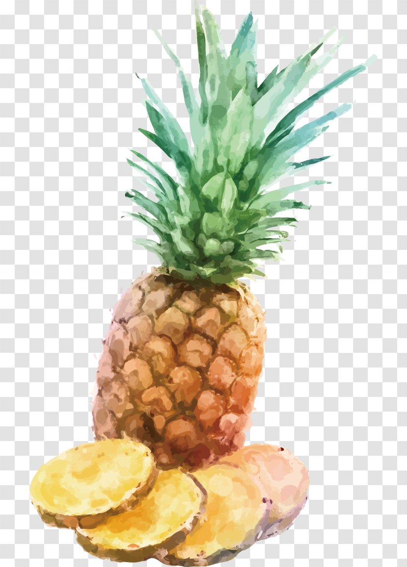 Pineapple Watercolor Painting INGE S.p.A Illustration - Fruit Transparent PNG