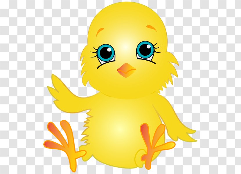 Duck Bird Chicken Clip Art - Kifaranga Transparent PNG