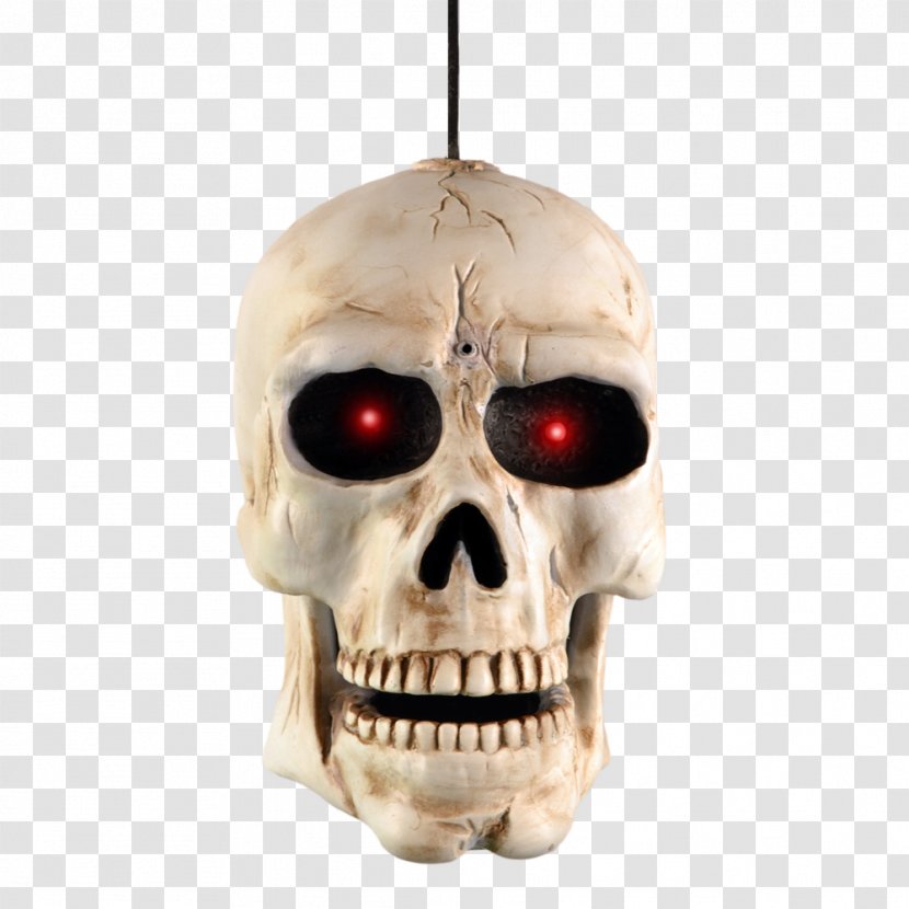 Skull Human Skeleton Death Head - Bone Transparent PNG