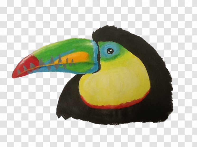 Bird Toucan Piciformes Beak Fauna Transparent PNG