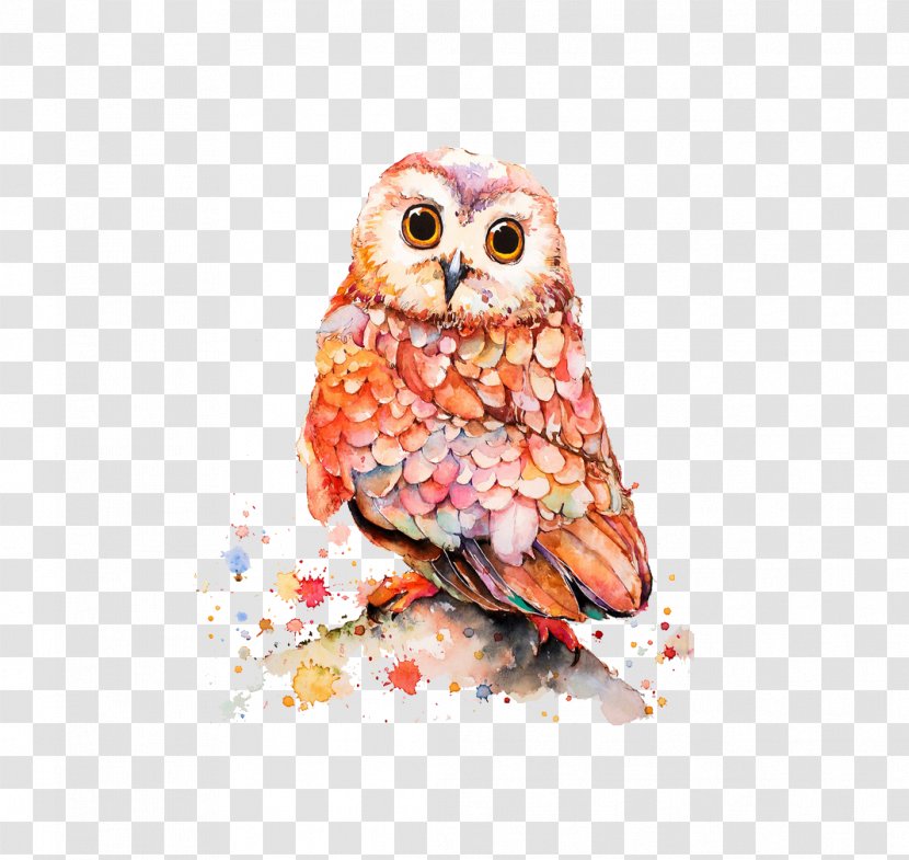 Watercolor Painting Ink - Owl Transparent PNG