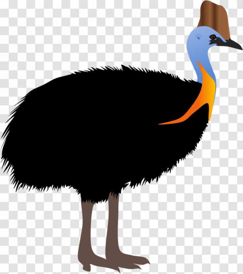 Common Ostrich Bird Southern Cassowary Weltvogelpark Walsrode Northern - Claw Transparent PNG