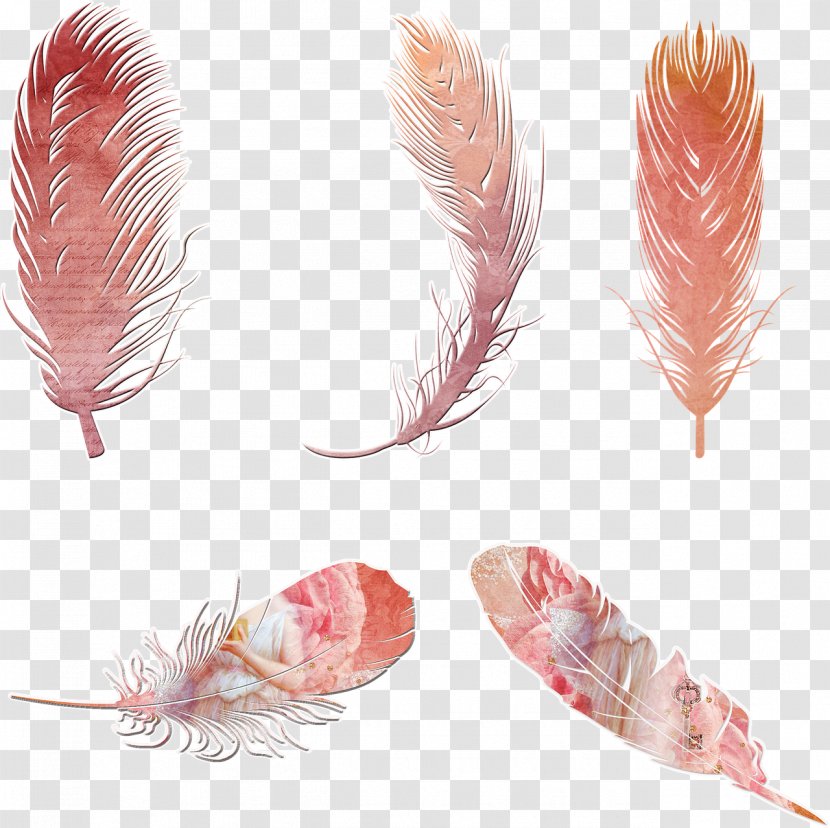 Bird Feather Bohemianism Clip Art - Wing Transparent PNG
