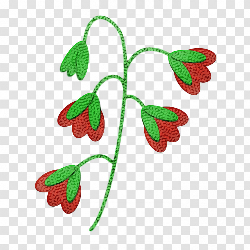 Plant Stem Leaf Flower Branch Fruit Transparent PNG