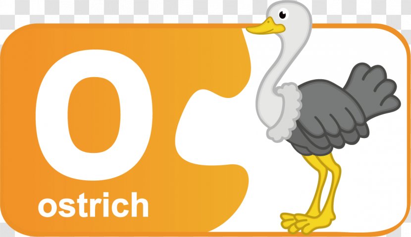 English Alphabet Letter O - Water Bird - Cartoon Children The Transparent PNG