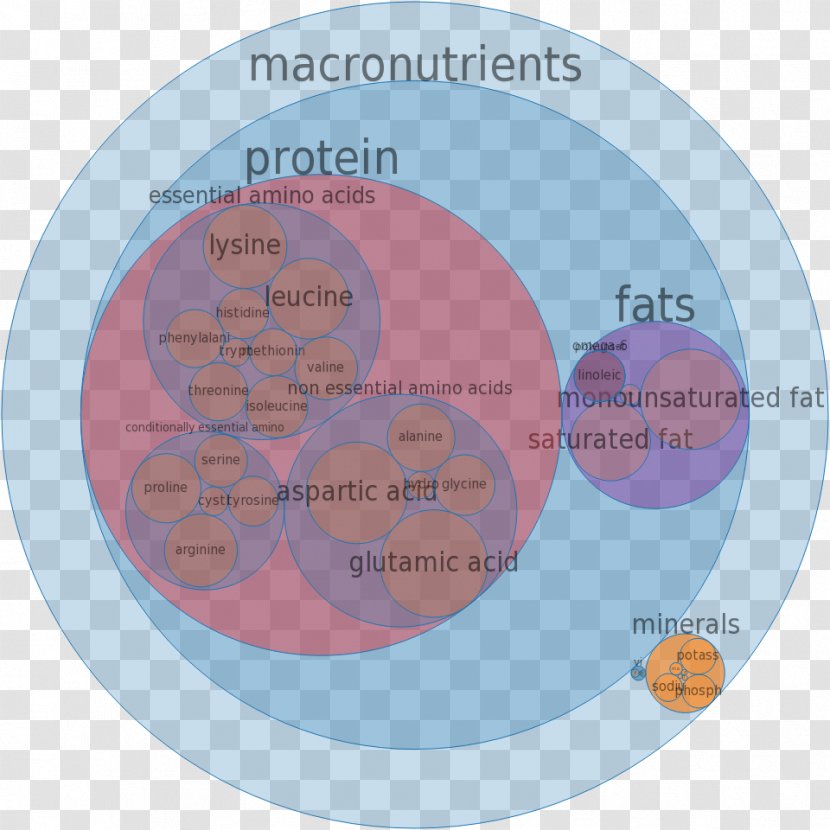 Popcorn Essential Amino Acid Mineral Amine - Vitamin Transparent PNG