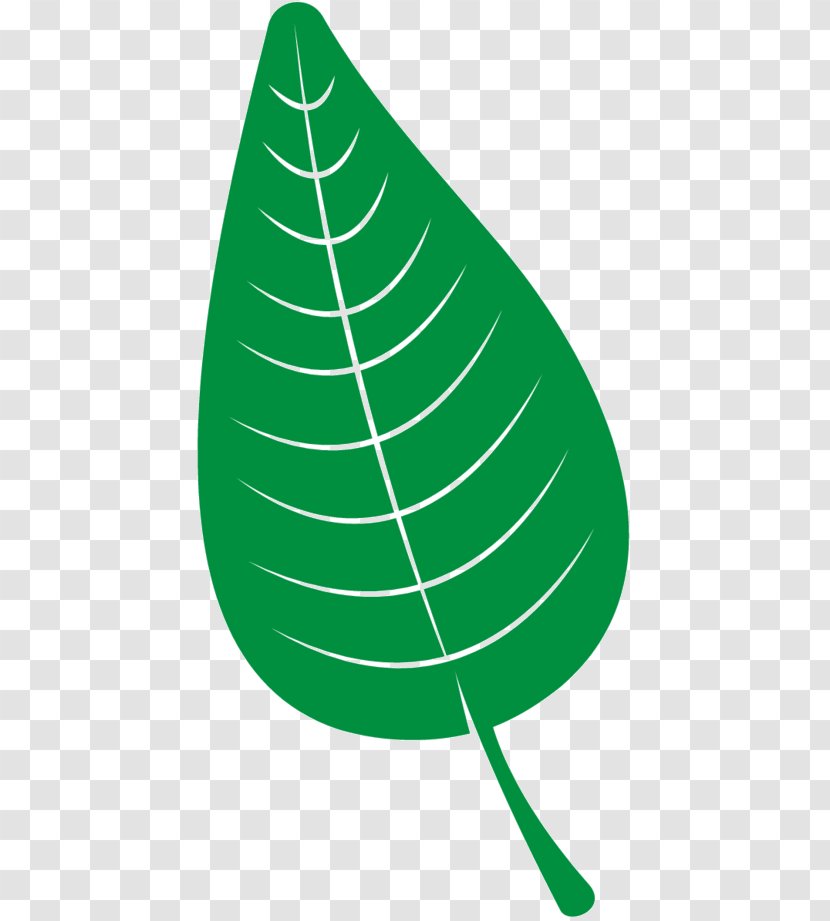 Clip Art Leaf Line Tree - Plant Transparent PNG