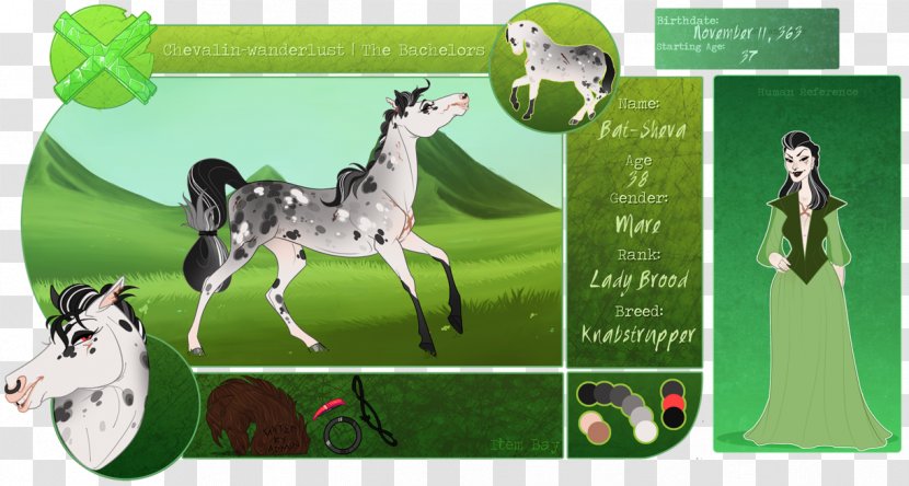 Horse Fauna Ecosystem Green Transparent PNG