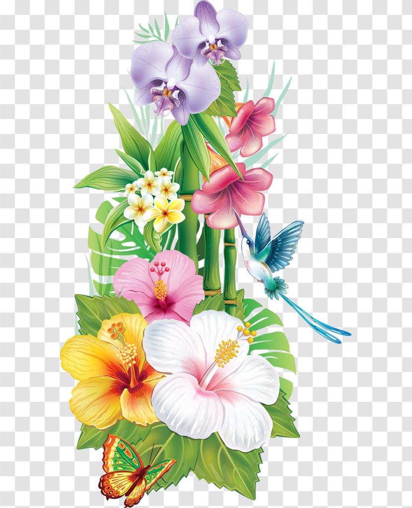 Flower Tropics Drawing Clip Art - Hibiscus - Exotic Transparent PNG