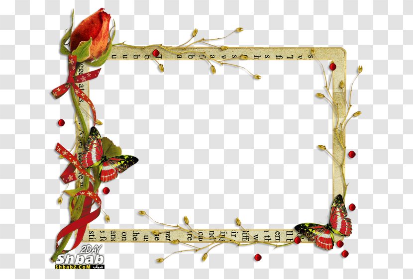 Picture Frames Butterfly Clip Art - Frame - Ramadhan 2018 Transparent PNG