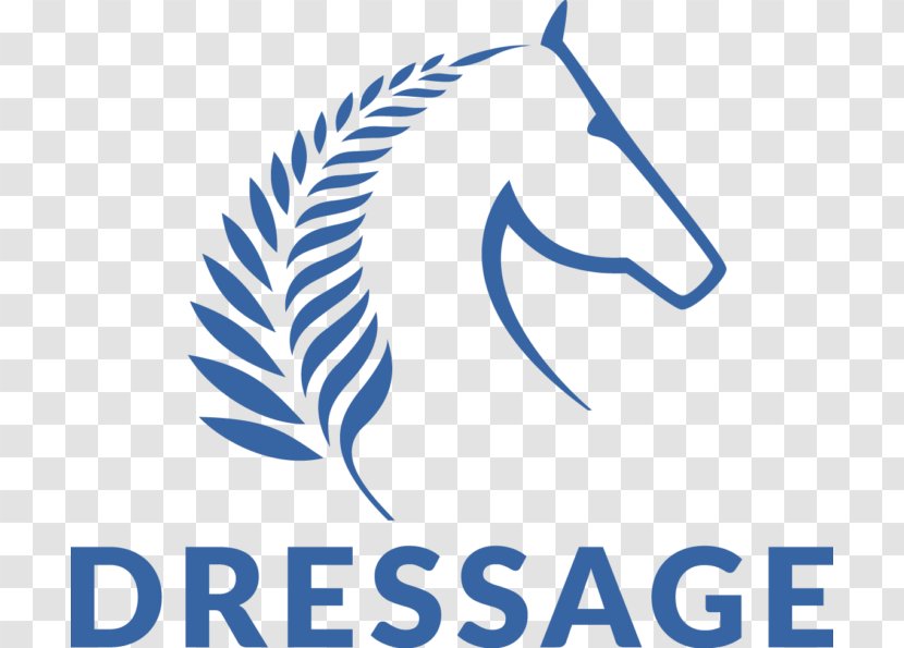 Horse Dressage Equestrian Sports Manfeild Park - New Zealand Transparent PNG