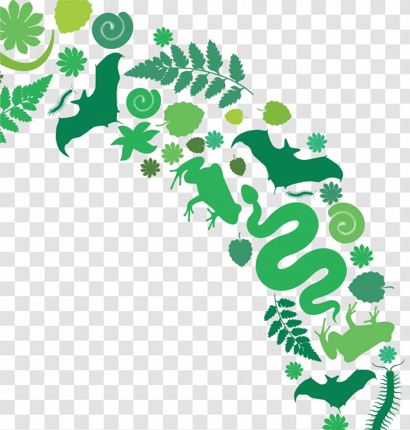 The Green Planet Dubai Sloth Education Clip Art - Plant Transparent PNG