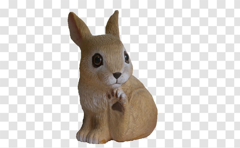 Whiskers Domestic Rabbit Hare Cat - Small To Medium Sized Cats Transparent PNG