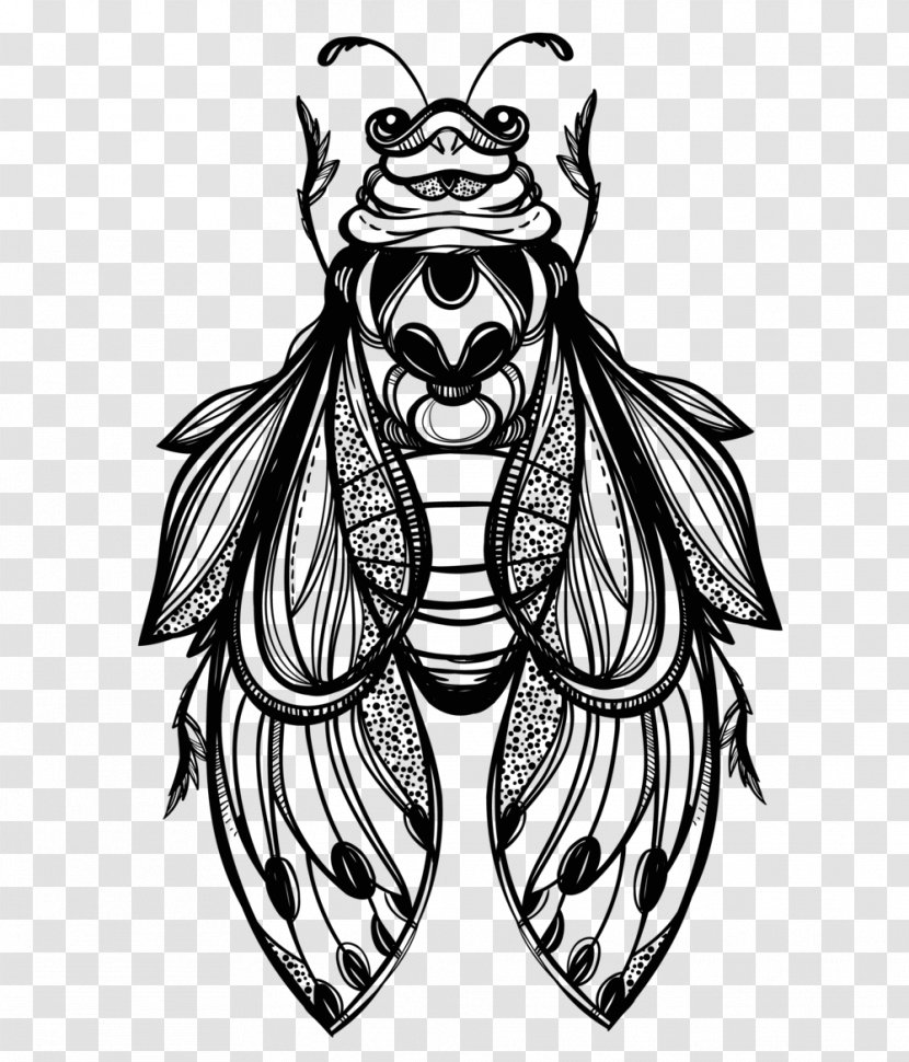 Beetle Drawing Vector Graphics Illustration Sketch - Watercolor Transparent PNG