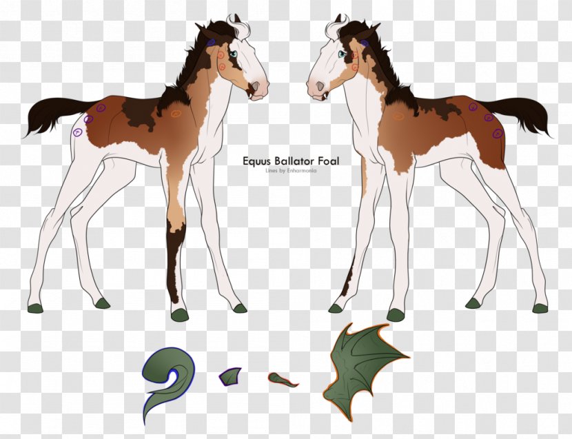 Foal Mustang Colt Stallion Mare - Horse Supplies Transparent PNG