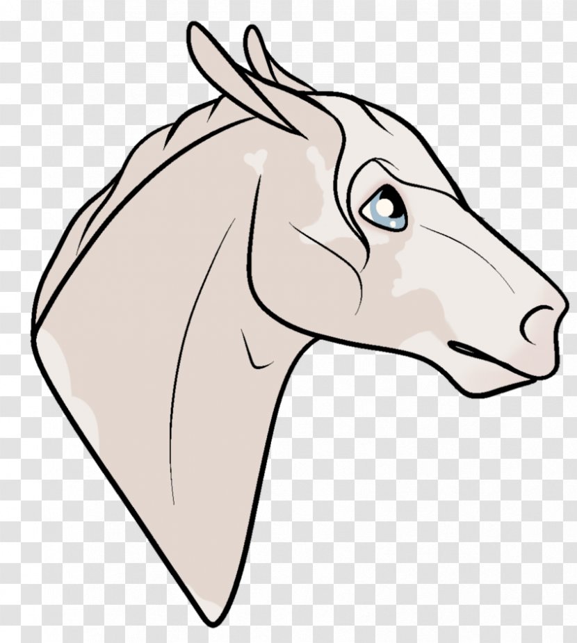 Bridle Donkey Snout Mustang Halter - Heart Transparent PNG