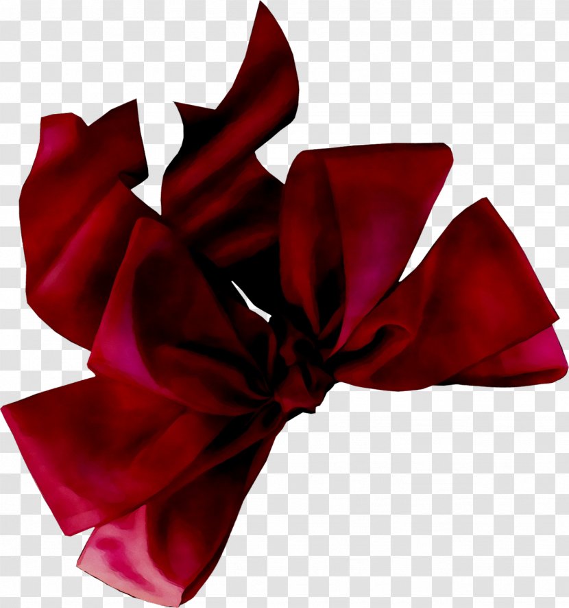 Garden Roses Velvet Ribbon Cut Flowers - Maroon - Textile Transparent PNG