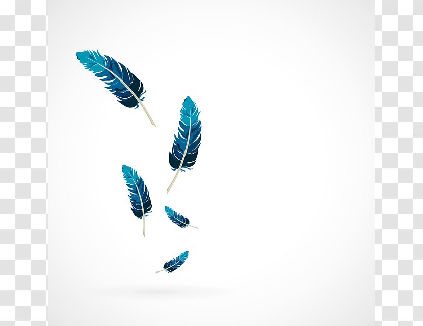 Bird Feather - Pixabay - Blue Transparent PNG