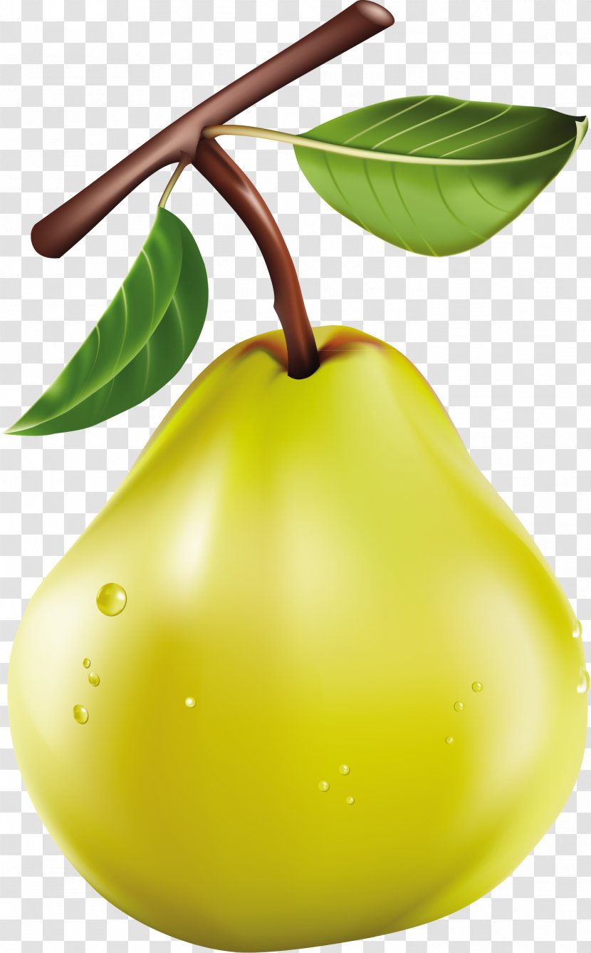Clip Art Fruit Openclipart Image - Food - Vegetable Transparent PNG