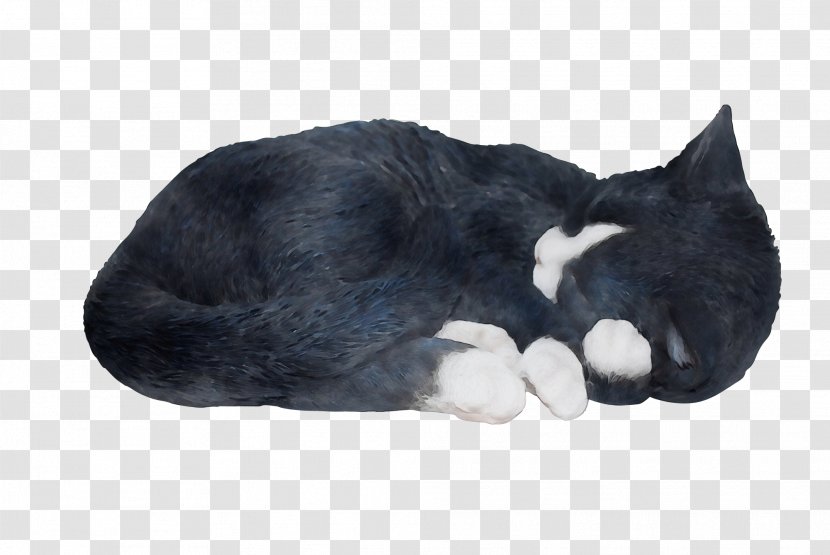 Cat Small To Medium-sized Cats Snout Tail Fur - Mediumsized - Nap Paw Transparent PNG
