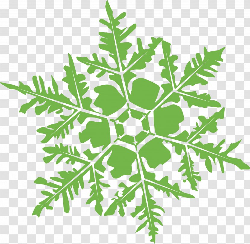 Leaf Vegetable Plant Stem Subshrub - Snowflakes Transparent PNG