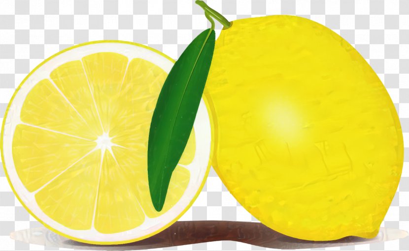 Sweet Lemon Key Lime Persian - Yellow Transparent PNG