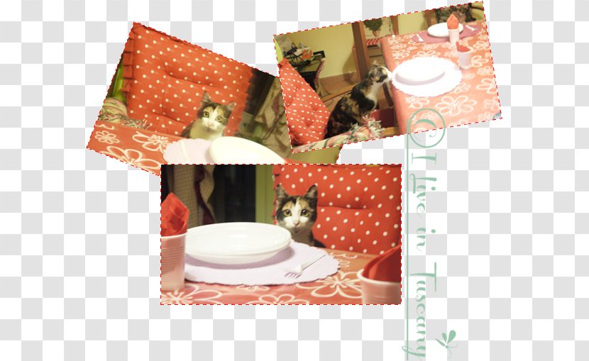 Place Mats - Grafic Design Transparent PNG