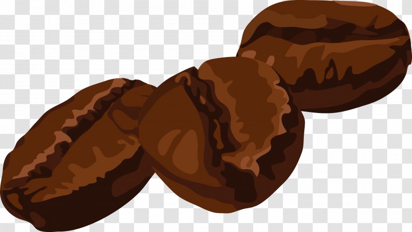 Coffee Bean Cafe - Caryopsis - Hand Painted Beans Vector Transparent PNG