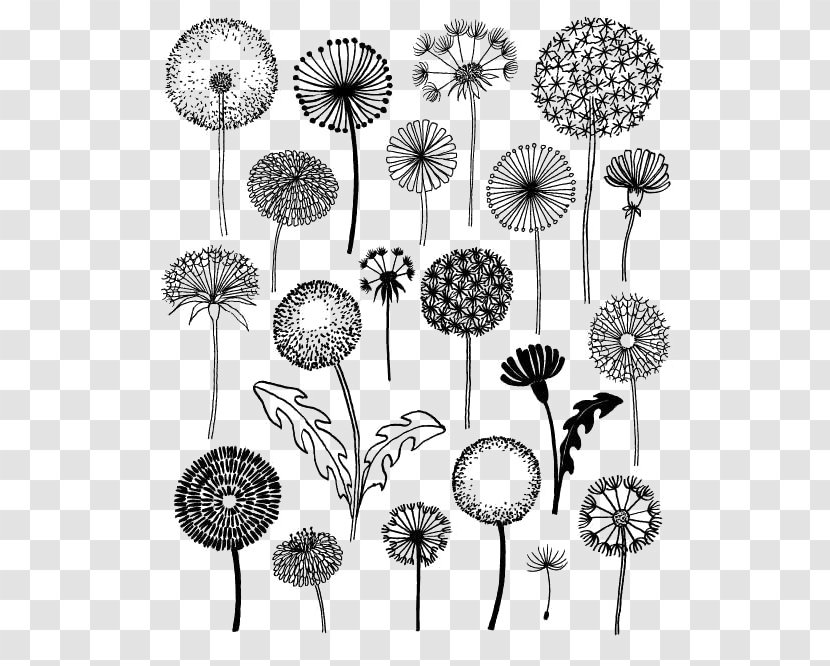 Dandelion 20 Ways To Draw A Tree And 44 Other Nifty Things From Nature: Sketchbook For Artists, Designers, Doodlers Drawing Pissenlit - Plant Stem Transparent PNG