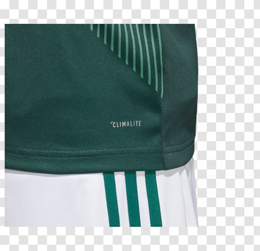 Teal Pocket M - Sleeve - Wm 2018 Transparent PNG