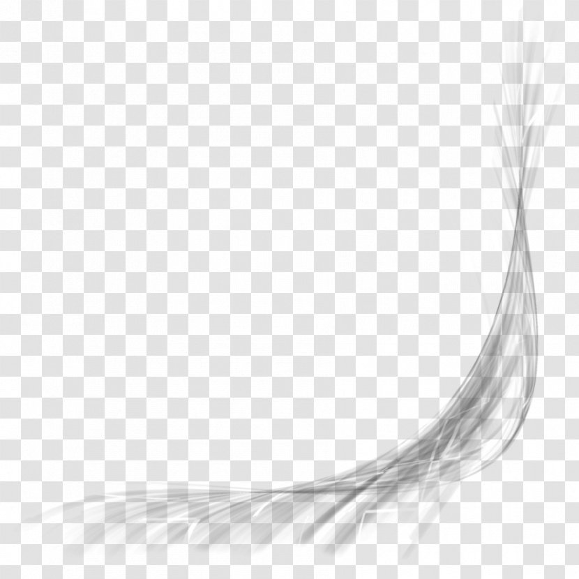 DeviantArt Black And White Monochrome Photography - Tail - Abstract Line Transparent PNG