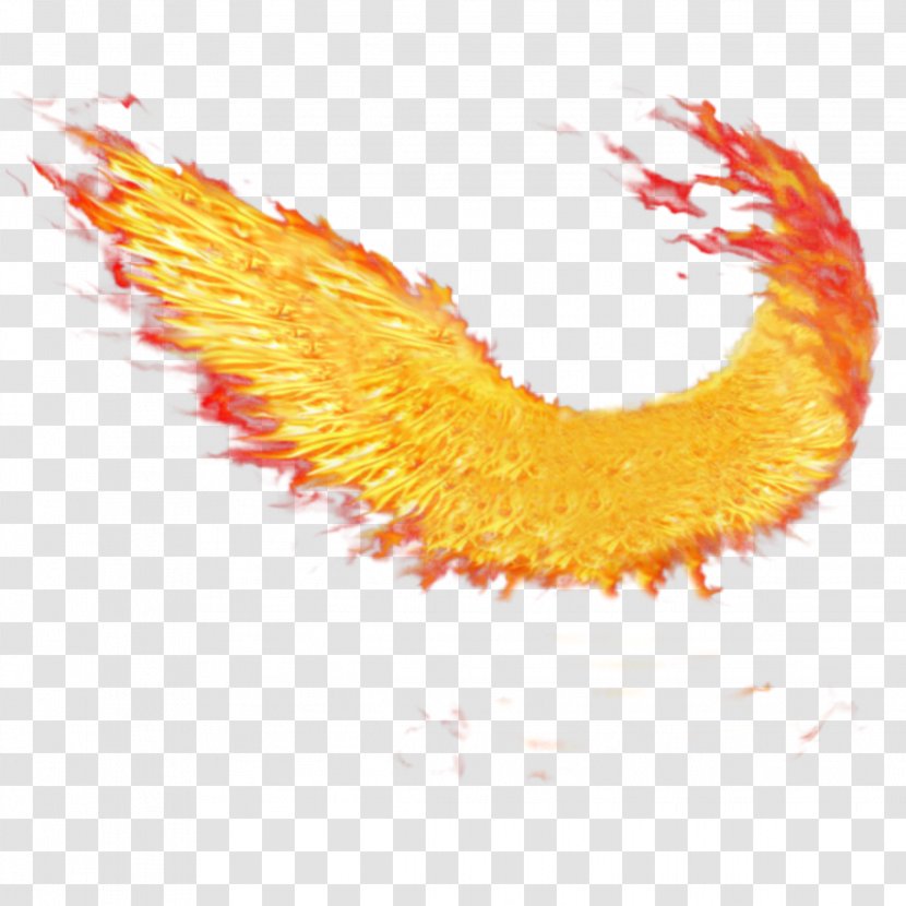 Wings Of Fire - Buffalo Wing - Yellow Orange Transparent PNG