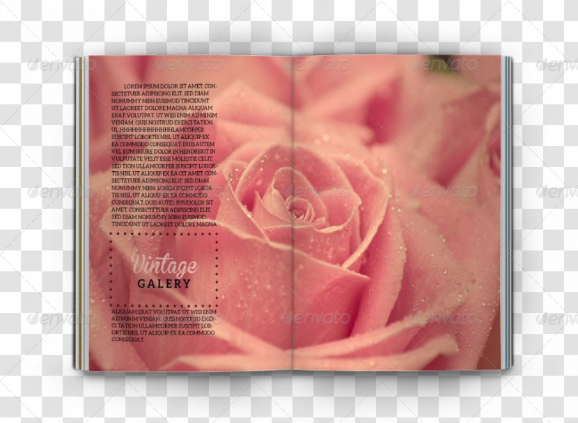 Pink Desktop Wallpaper Red Flower - Rose Order - Vintage Menu Transparent PNG