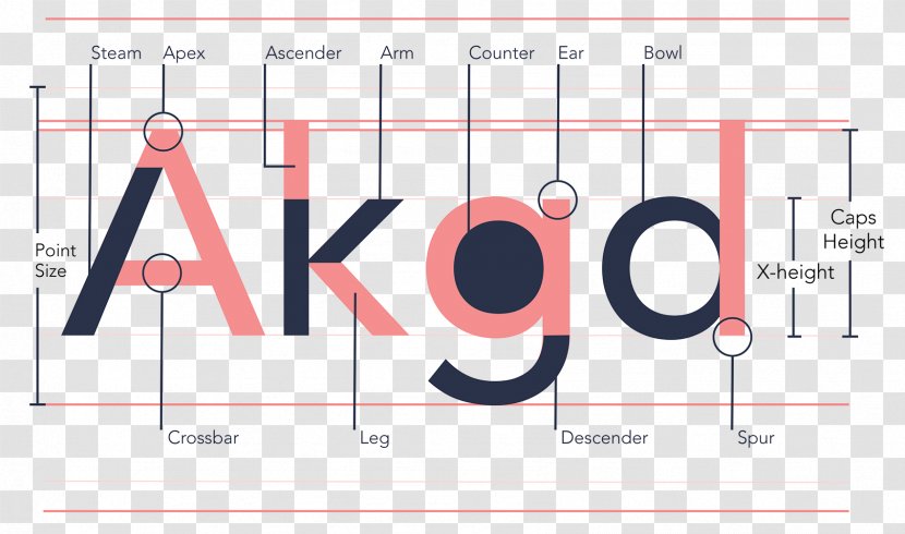 Frutiger Avenir Typeface Futura Helvetica - Information - Eaves Transparent PNG