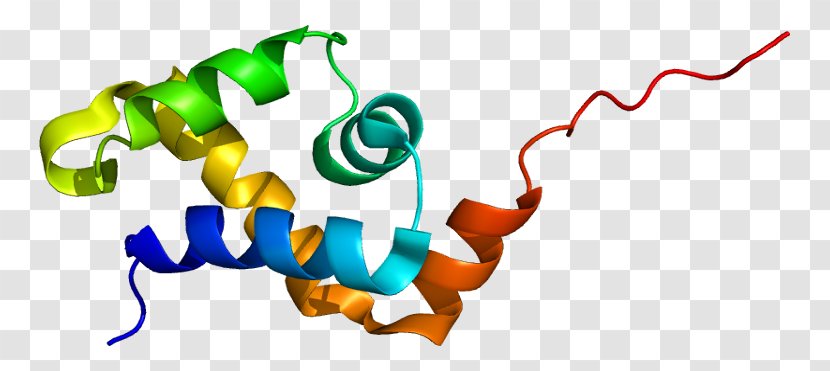 SATB1 Protein SMARCA5 Gene Homeobox - Text - Nuclear Matrix Transparent PNG