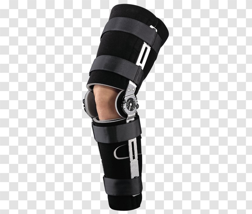 Knee Anterior Cruciate Ligament Posterior Surgery - Fibular Collateral - Reconstruction Transparent PNG