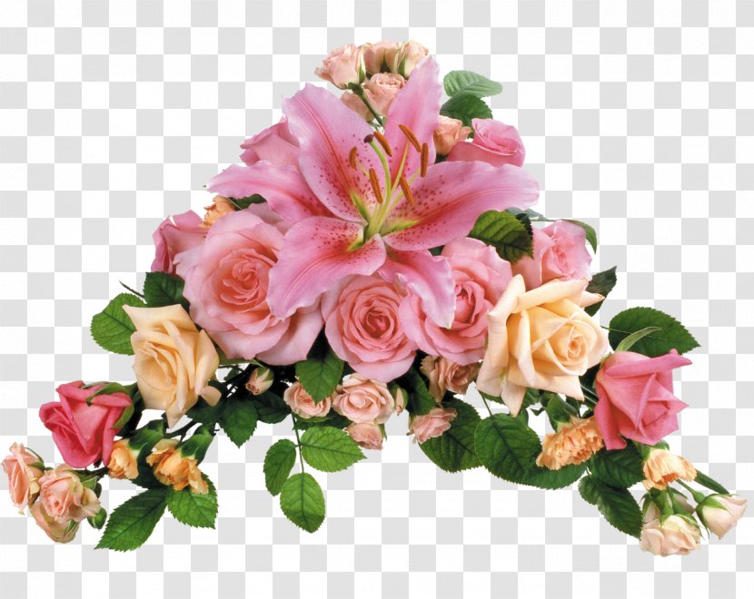 Flower Rose Lilium Desktop Wallpaper Transvaal Daisy - FLORES Transparent PNG