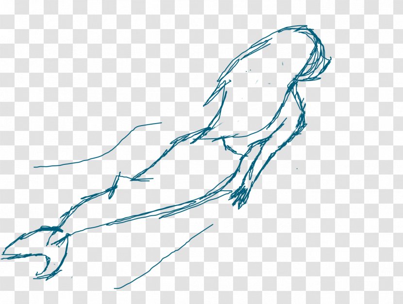 Beak Drawing Sketch - Branch - Shark TAIL Transparent PNG