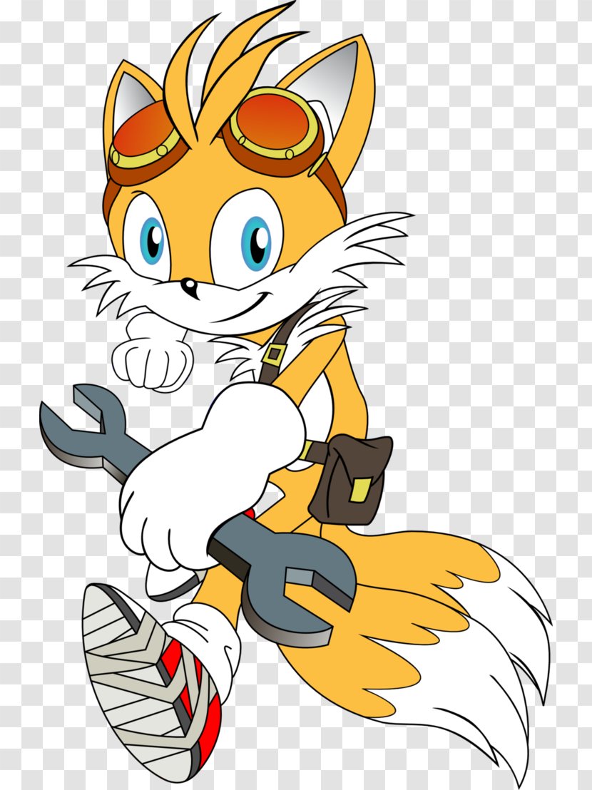 Sonic Chaos Tails Cat Boom Ariciul Transparent PNG