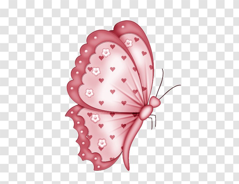 Butterfly Fuchsia Clip Art - Insect Transparent PNG