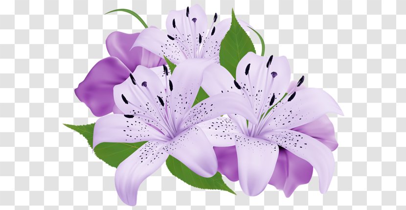 Purple Flower Clip Art - Flowering Plant - Watercolor Lilac Transparent PNG