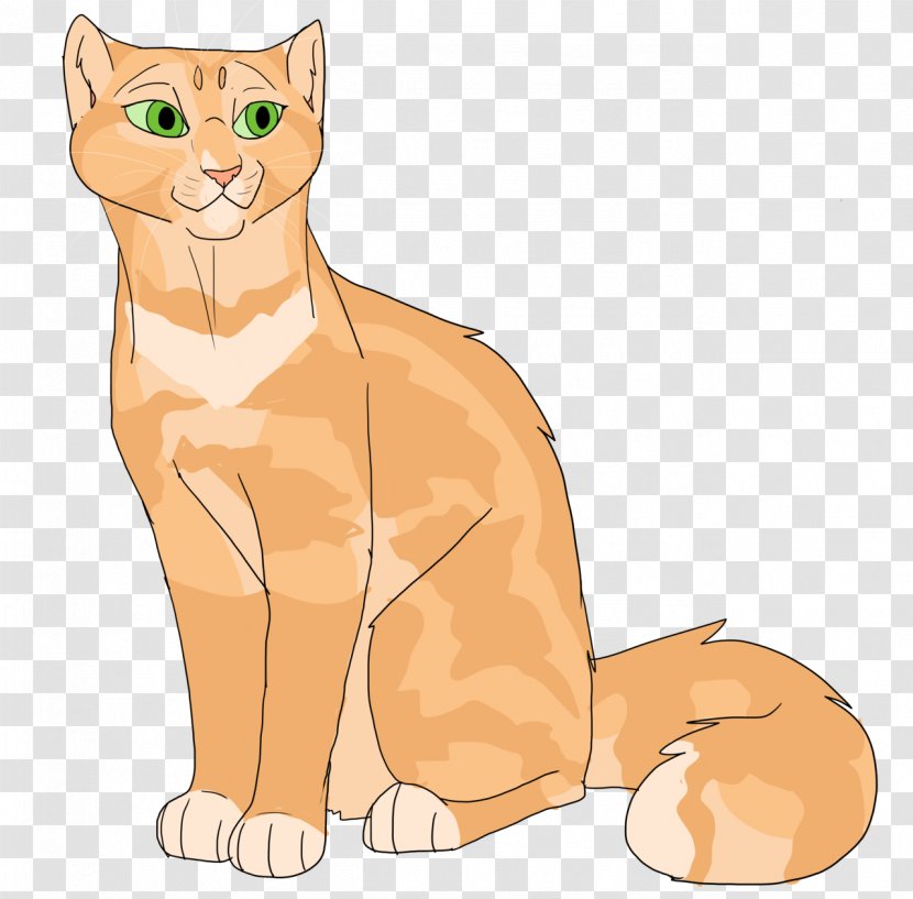 Whiskers Kitten Domestic Short-haired Cat Lion Wildcat - Organism Transparent PNG