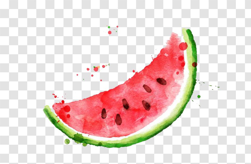 Watermelon Frutti Di Bosco Fruit Watercolor Painting - Drawing Transparent PNG