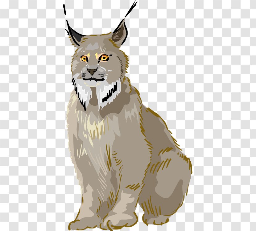 Eurasian Lynx Whiskers Bobcat Canada Clip Art - Puma - Cliparts Transparent PNG