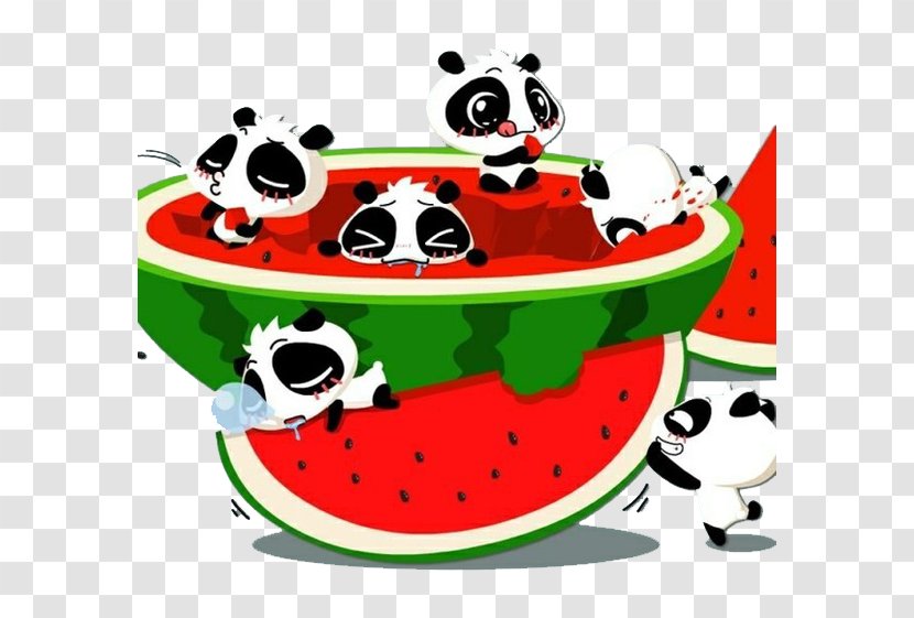 Watermelon Mobile Phone Computer Wallpaper - Display Resolution - Panda Eat Transparent PNG