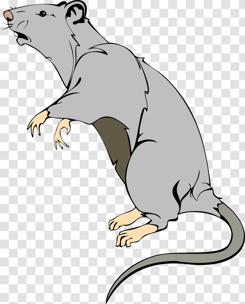 Brown Rat Mouse Laboratory Clip Art - Wildlife Transparent PNG